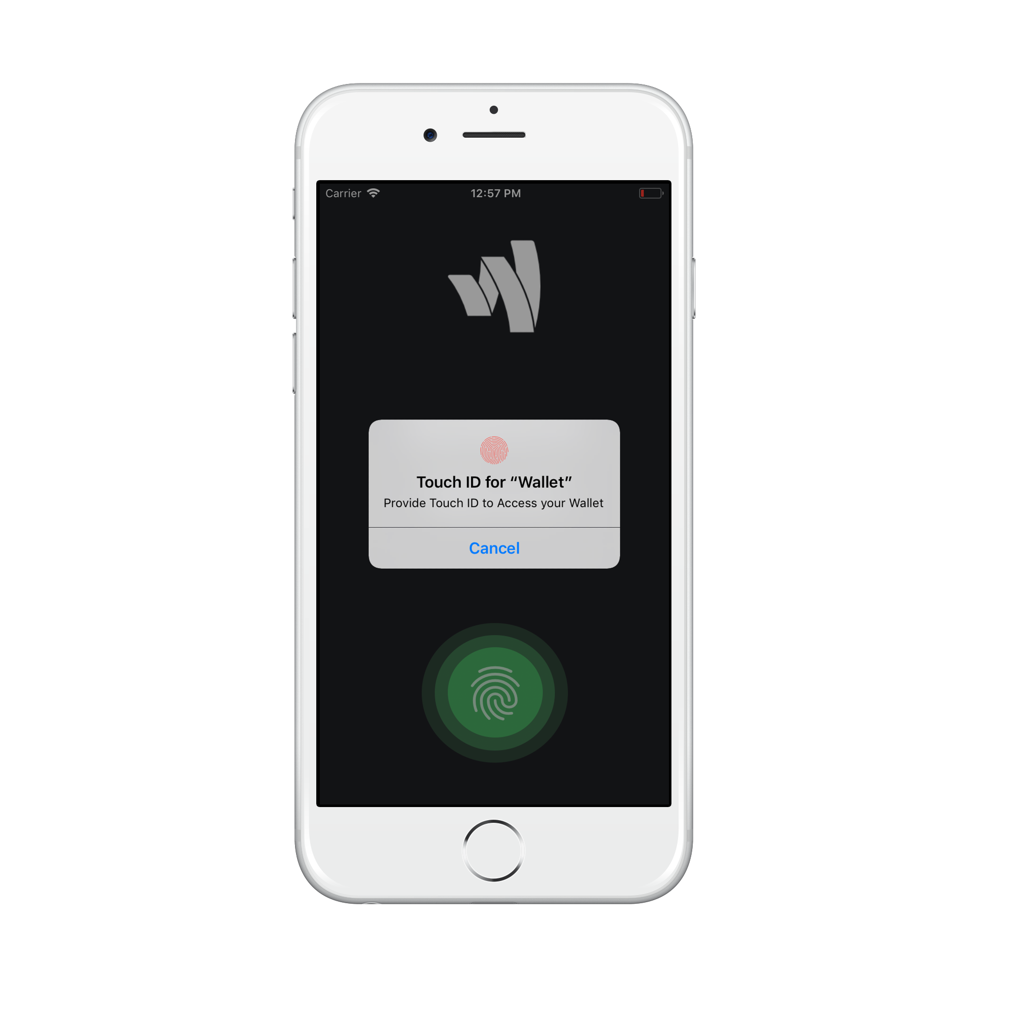 Biometric Permission